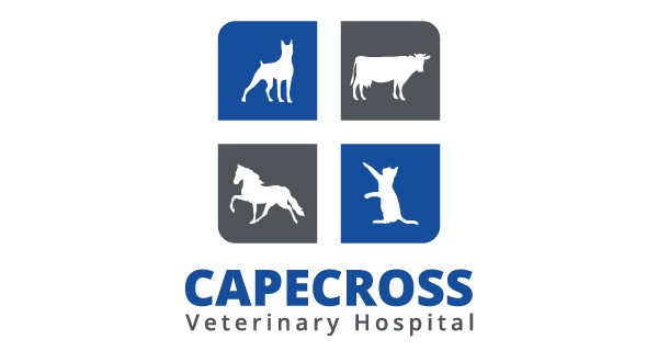 CapeCross Veterinary Hospital Jeffreysbaai Logo